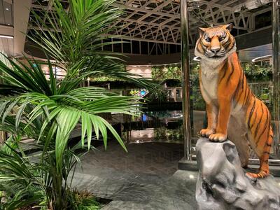 Jungle Pool
