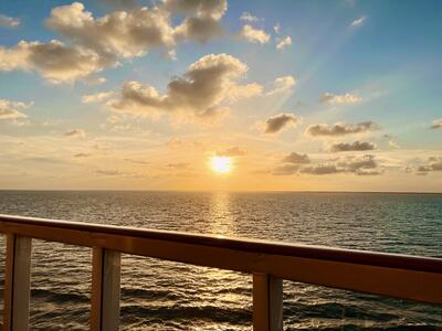 NCL Bliss